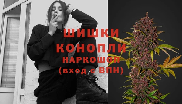 первитин Гусиноозёрск