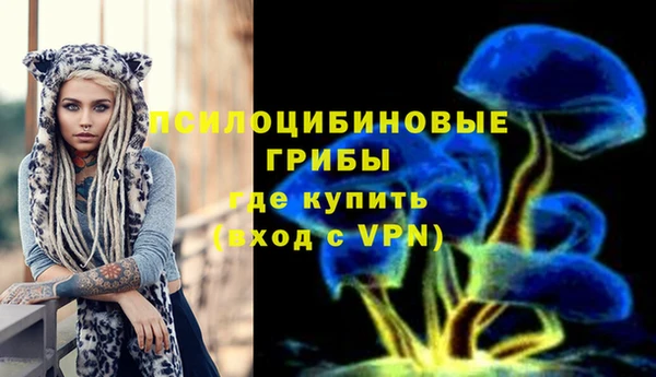 мяу мяу кристалл Гусев